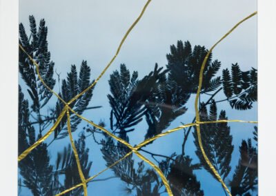 How the light gets in by Amy Aiken