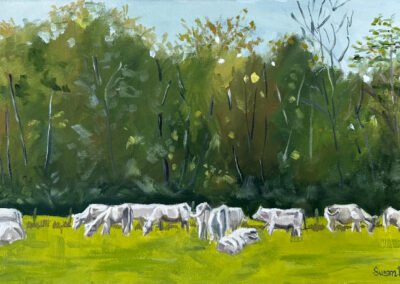 Cows in Amenucourt, France by Susan Bucher