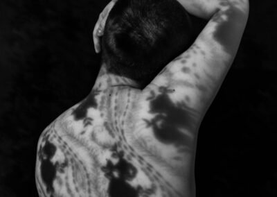 Lace Shadows by Paxton Pliska